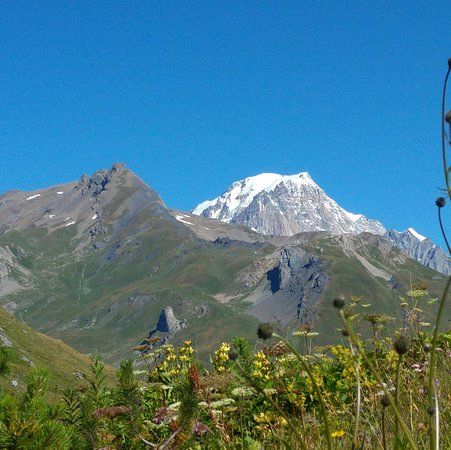 Giardino Botanico Alpino Chanousia